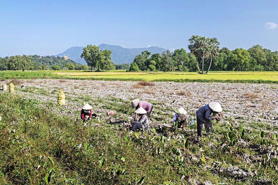 Lavoratori agricoli comaschi in protesta: “Zero sostegni e zero diritti”