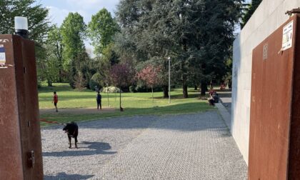 Nichel nell’acqua: fontanelle chiuse nel parco di Porta Spinola