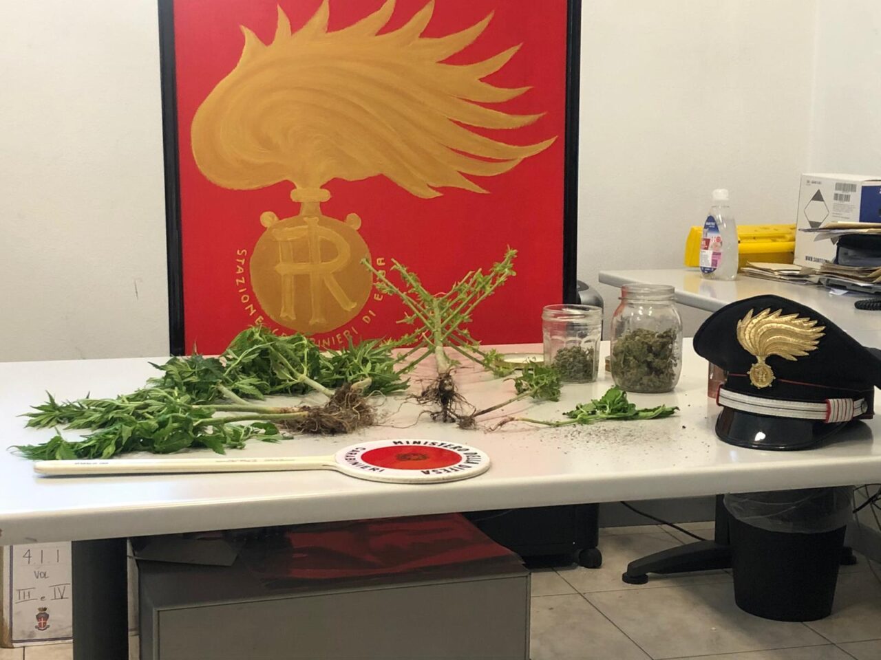 Marijuana, cannabis e kratom a casa: denunciato 26enne comasco