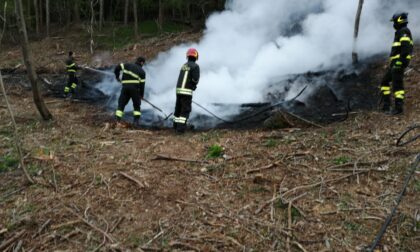 Fiamme nei boschi Vigili del Fuoco e Volontari antincendio al lavoro