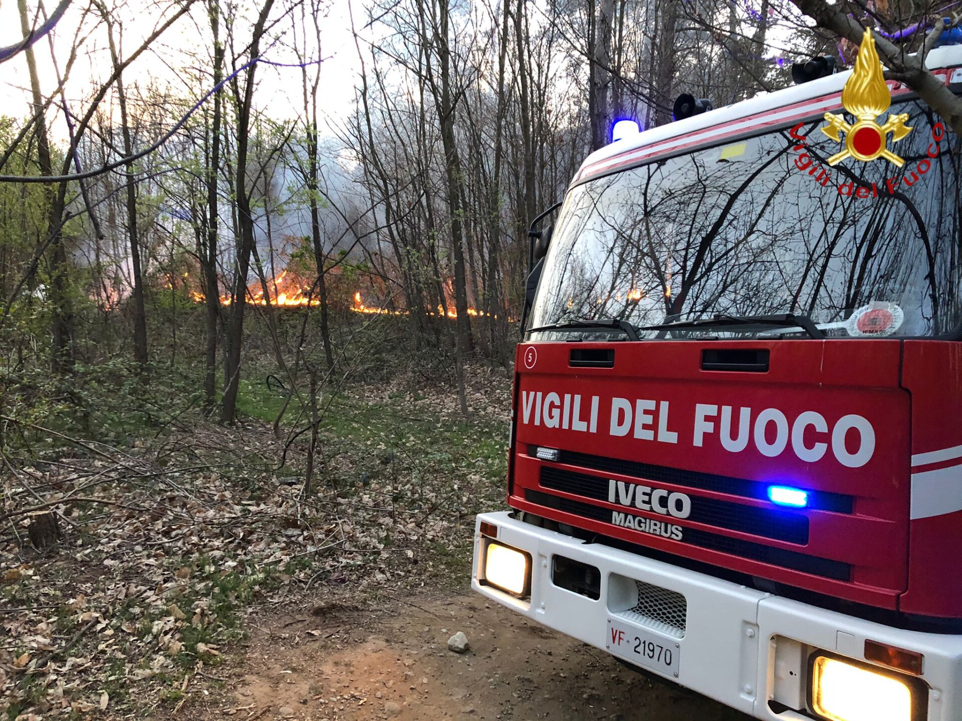 Incendio a Caccivio, mille metri quadrati di vegetazione andata distrutta.