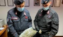 Nell'auto aveva hashish, marijuana e cocaina: arrestato a Bregnano