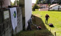 Giornata mondiale della api: il Circolo Ilaria Alpi semina al Giardino delle api