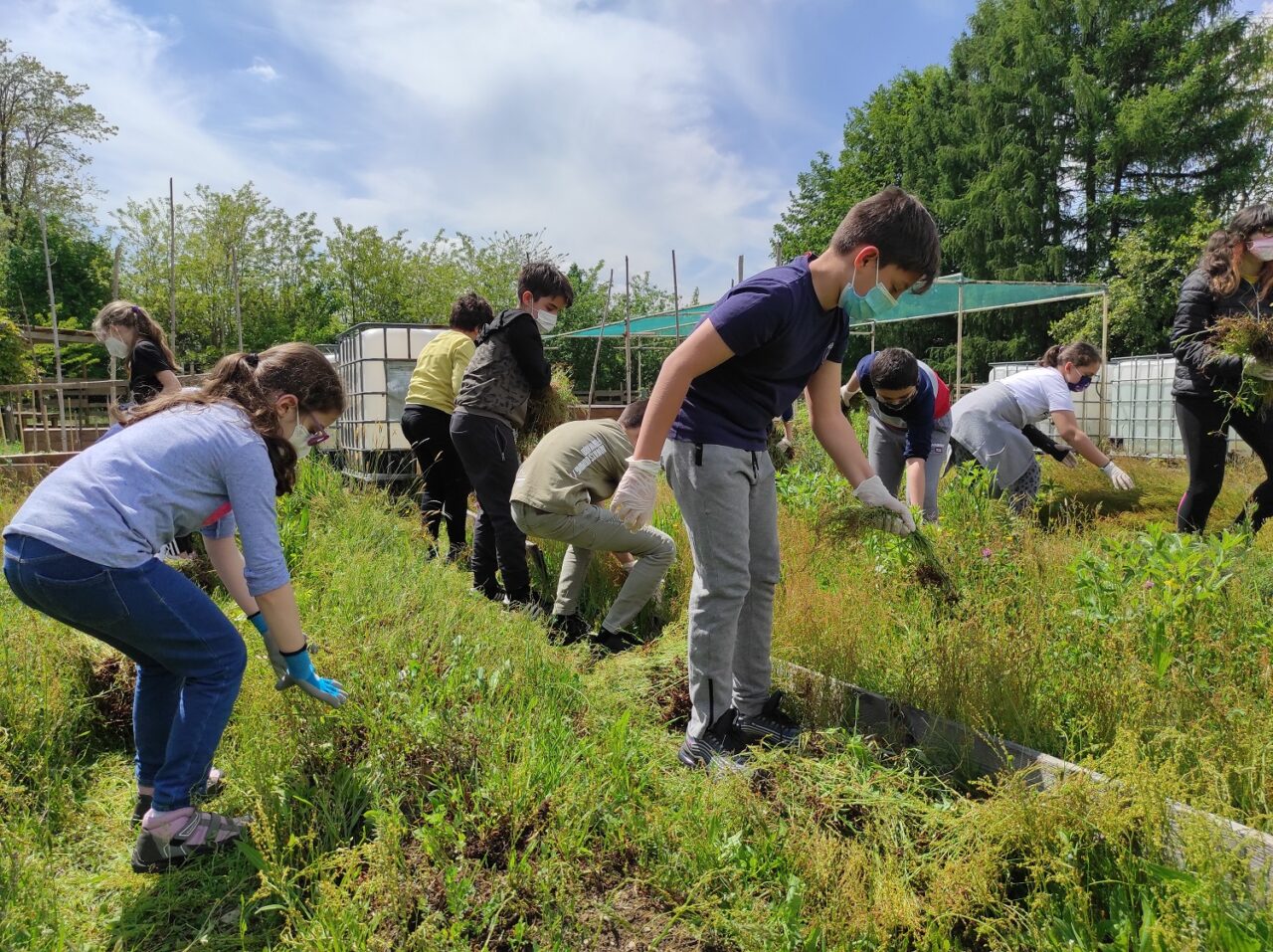 Gli orti di Rebbio, oasi di pace per i bambini della primaria tra insalate da piantare e erbacce da strappare