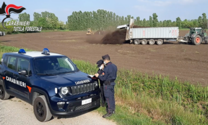 Fanghi tossici spacciati per fertilizzanti: campi contaminati anche nel comasco