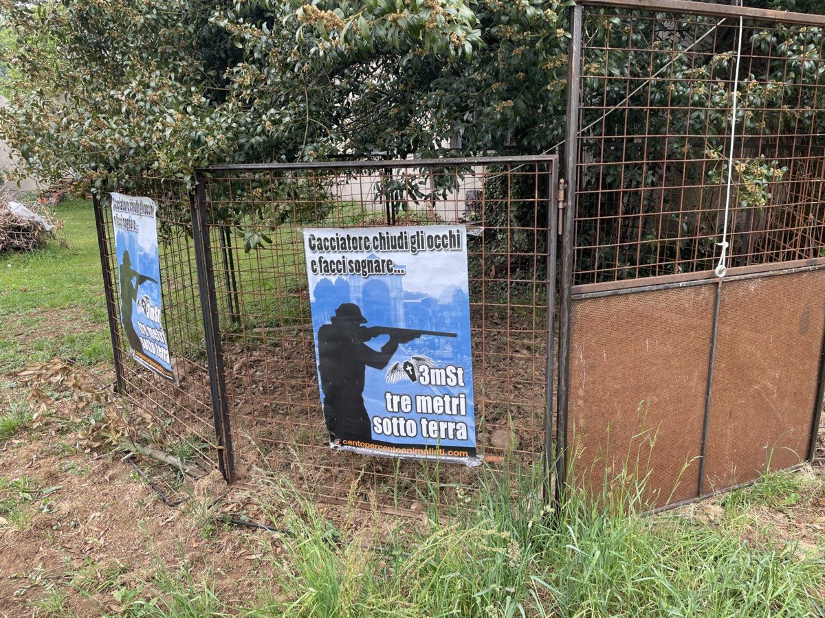 Animalisti contro le gabbie trappola per i cinghiali