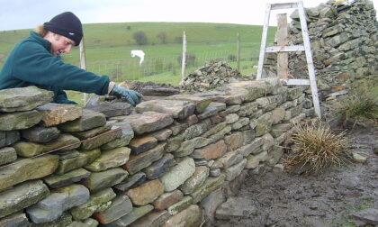 Alla riscoperta dell'arte dei muri in pietra a secco: Miledù lancia il corso da fare a Brunate