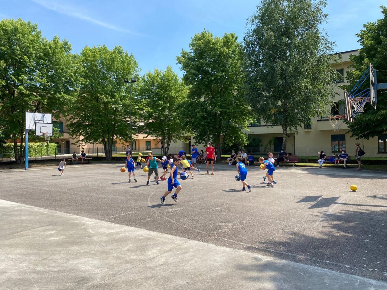 Pallacanestro lariana sabato 19 Open day di basket femminile presso la palestra di via Tevere