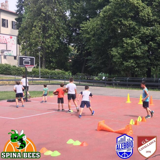 pallacanestro lariana Spina Bees Alebbio