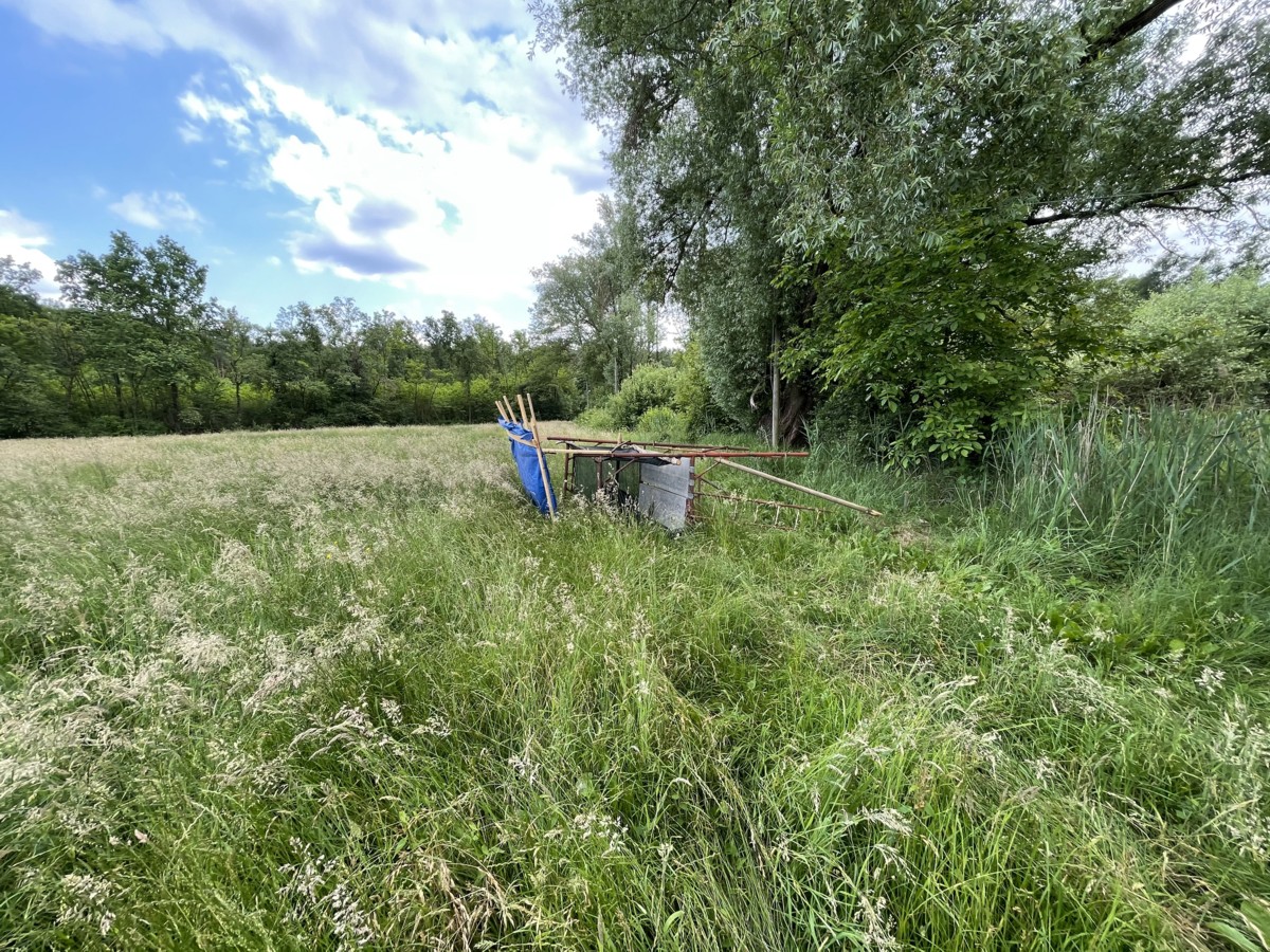 Parco Pineta al via l’operazione “Attila”