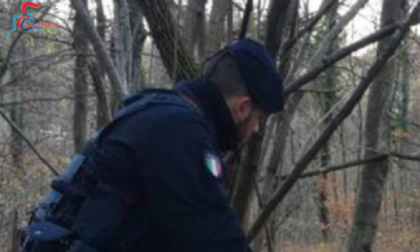 Scovato un bivacco della droga nei boschi di Merone