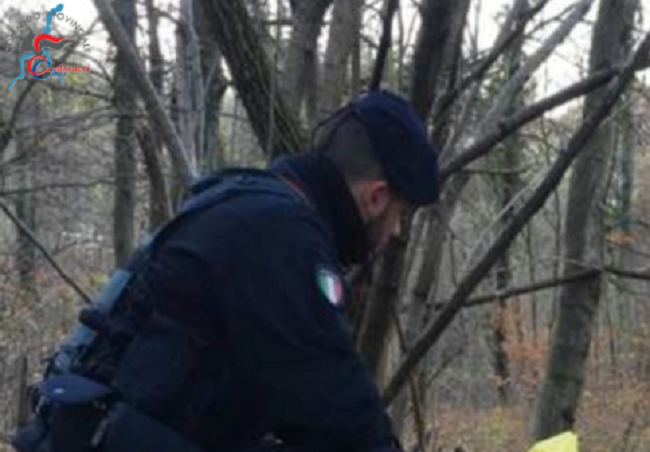 Scovato un bivacco della droga nei boschi di Merone