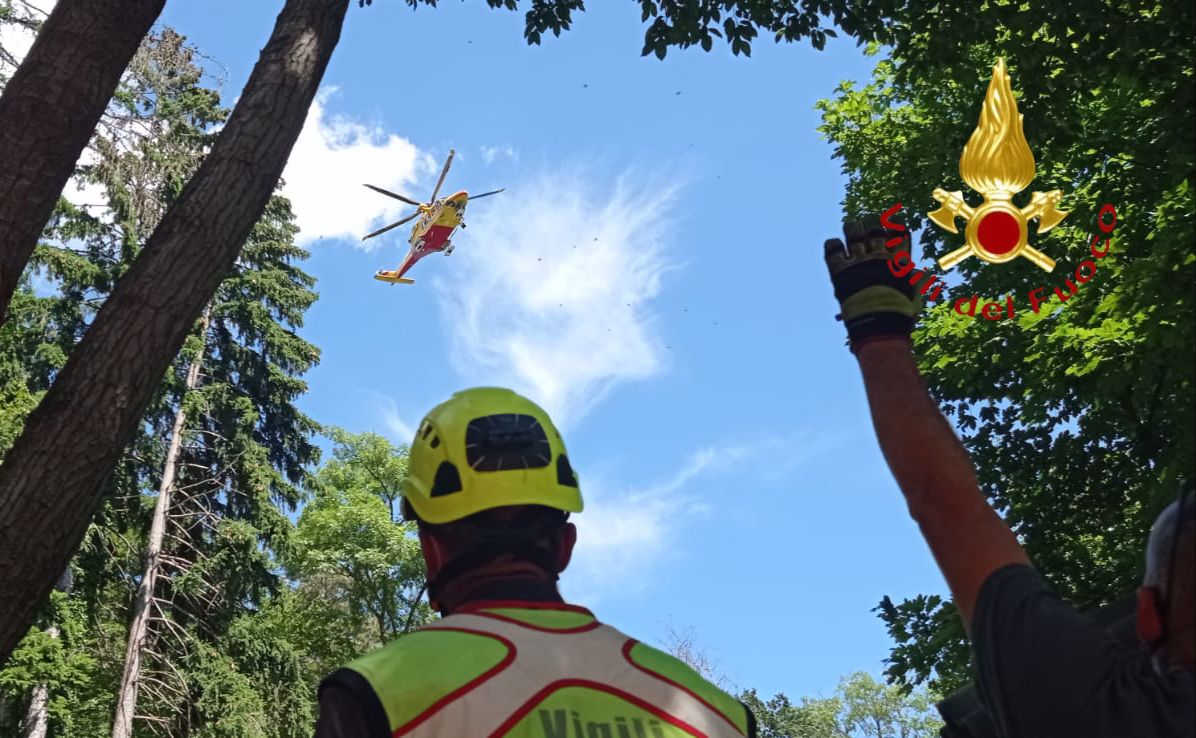 Infortunio all’Alpe del Viceré per un taglialegna