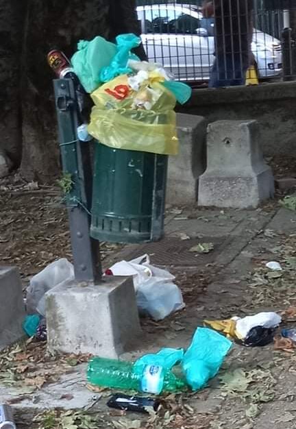 WhatsApp Image 2021-07-19 at 15.28.43 (5)