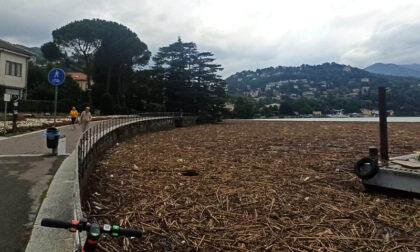 La foto shock del lago di Como sommerso da detriti dopo il maltempo