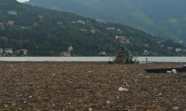 Una marea di fango e legname, lago invaso dai detriti a Como: battelli sospesi