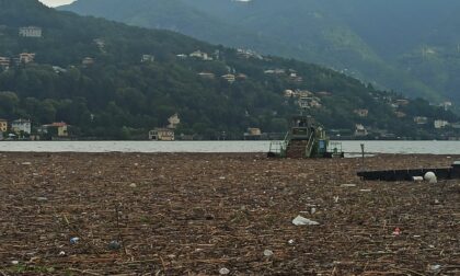 Una marea di fango e legname, lago invaso dai detriti a Como: battelli sospesi