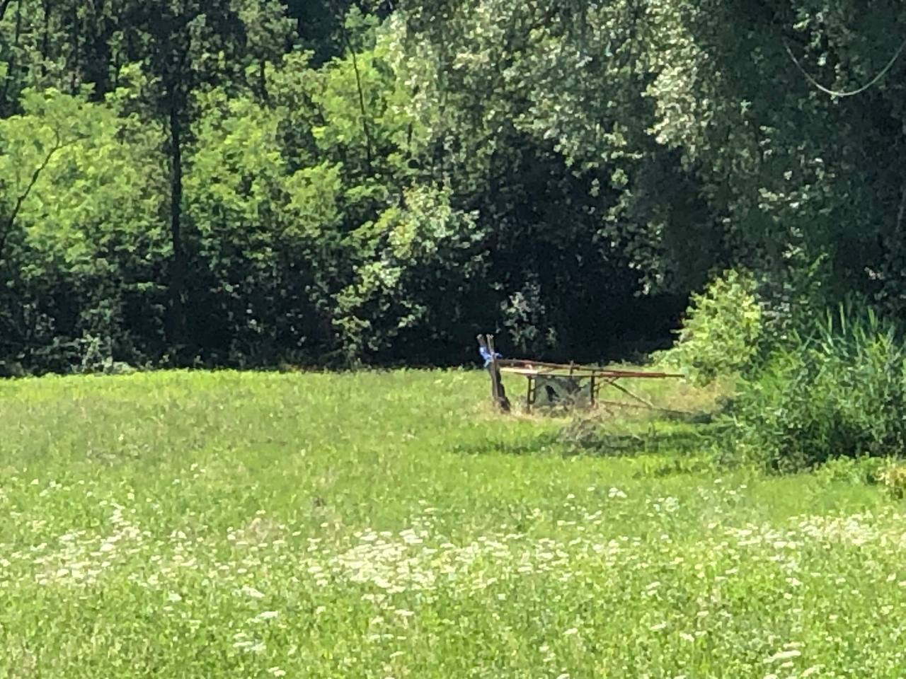 “L’altana distrutta non è stata riparata, era abusiva. Troppe irregolarità nel Parco Pineta”