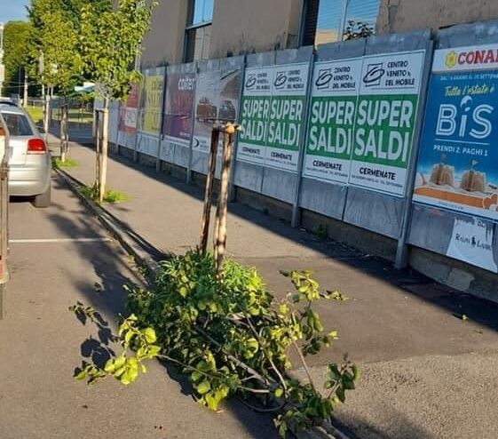 Vandali a Figino Serenza: spezzato un tronco di un albero e divelto un cartello