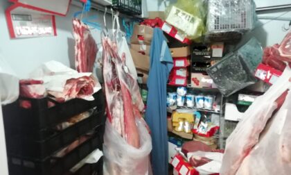 Verdure, carne e pesce in cattivo stato e senza tracciabilità: denunciato commerciante di via Milano