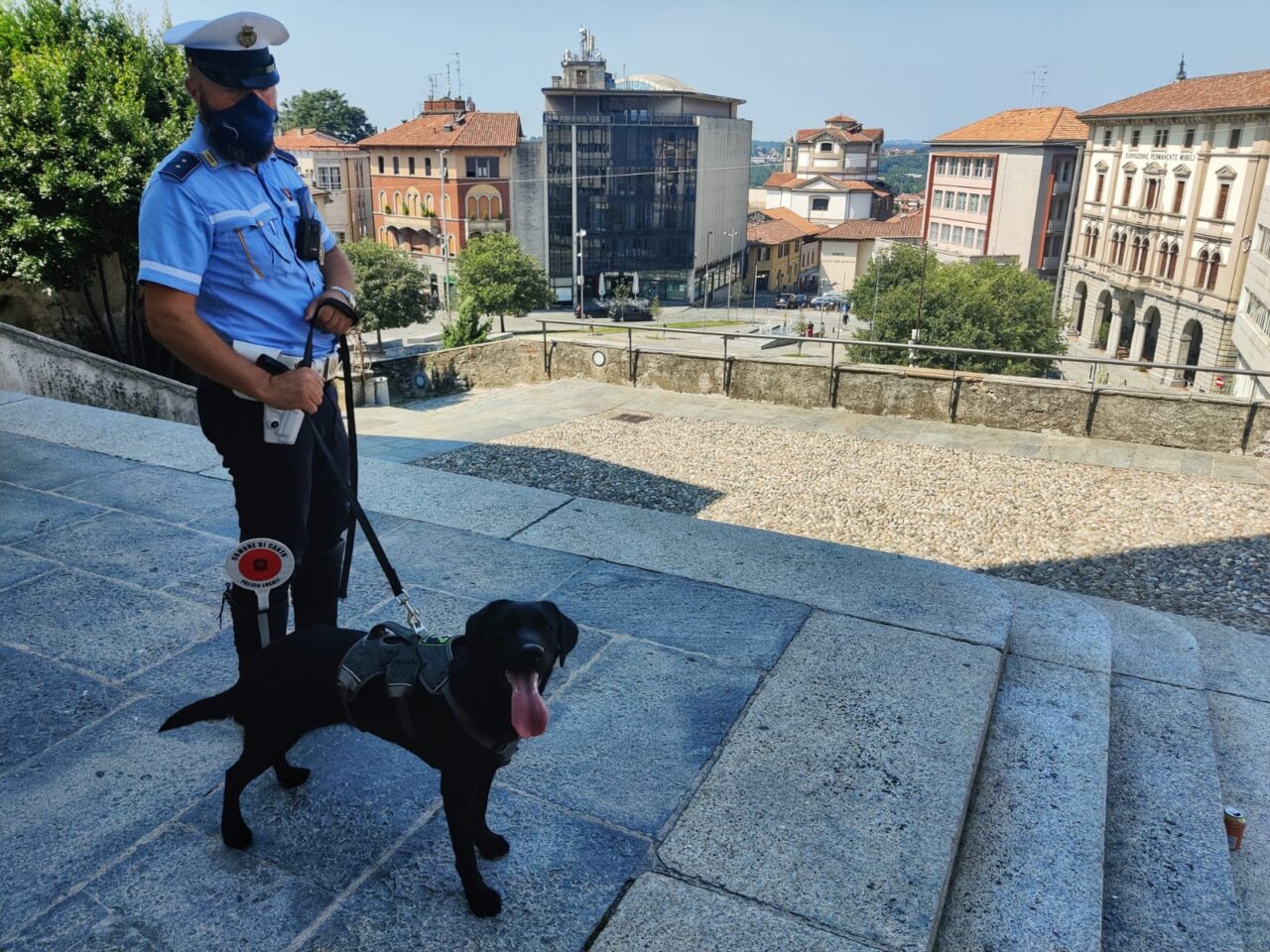 Spaccio a Cantù: i controlli della Polizia locale con l’unità cinofila
