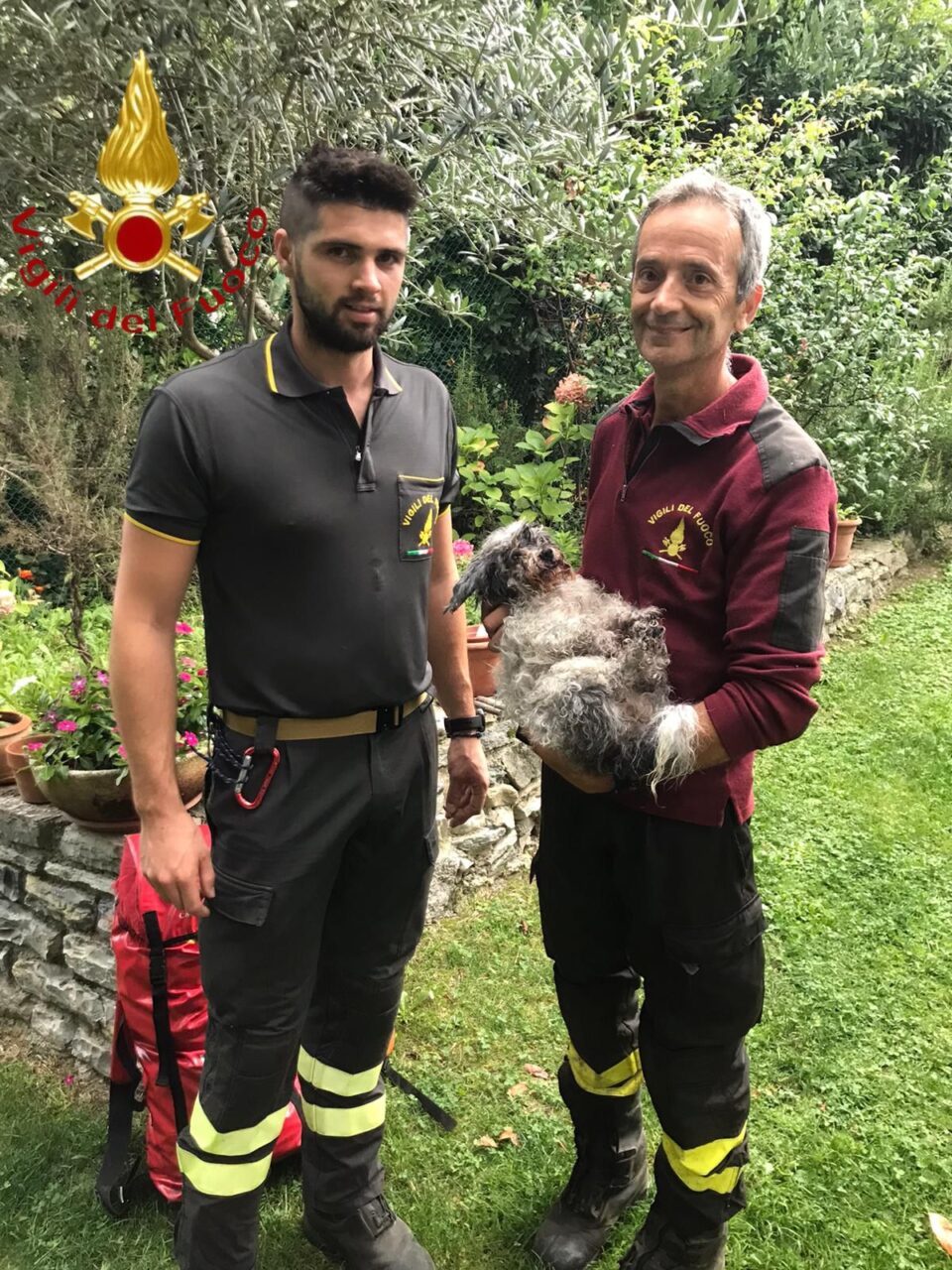 Cane cieco si perde nei boschi di Veleso: lo recuperano i Vigili del Fuoco