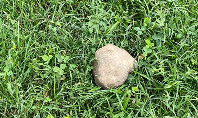 Donna aggredita con un sasso da uomo insanguinato