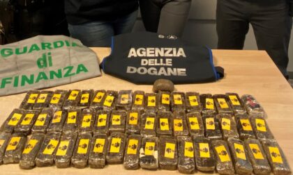 Cerca di entrare in Italia su un bus con 52 panetti di hashish: arrestato grazie al fiuto di Anima