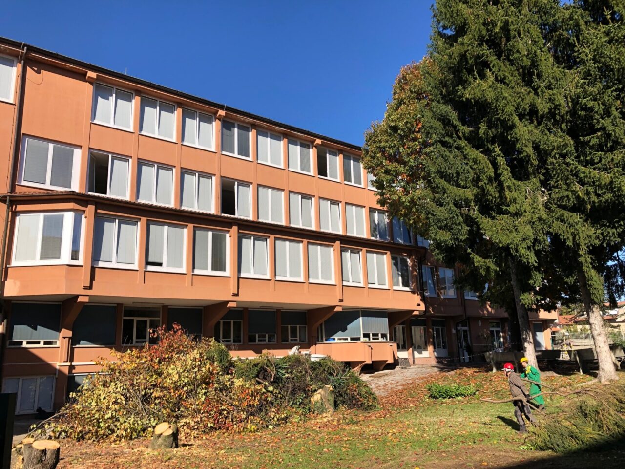 Per una scuola più grande, addio agli alberi