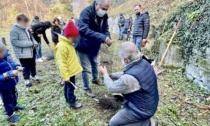 Giornata dell'albero: messe a dimora 50 nuove piante in Valbasca