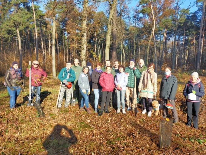 100 nuovi alberi trovano casa nel parco Pineta