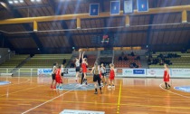 Basket femminile la Pol Comense oggi torna in campo a Gavirate per spezzare il lungo "digiuno"