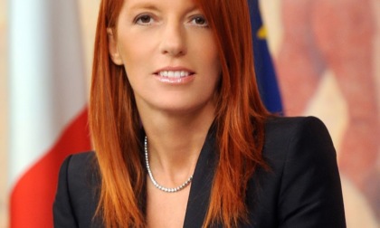 Gatto ucciso dai ladri: “Faremo il possibile per perseguire questi criminali”