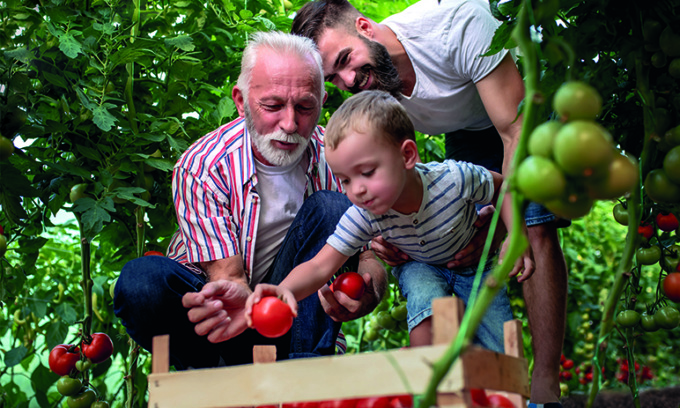 Tanti auguri papà… green: mandate le foto e messaggi di auguri al Giornale di Cantù, Giornale di Erba e Giornale di Olgiate
