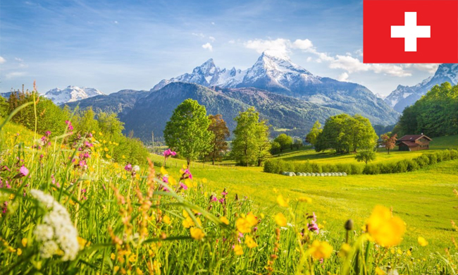 Consulenze sperimentali di CSC Compagnia Svizzera Cauzioni Fidejussioni: nuove tecniche agricole