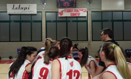 Basket femminile il Btf Cantù stasera cerca il bis vincente contro l'ambiziosa Pro Patria