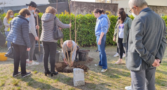 Oggi Nicolò Mainoni avrebbe compiuto 19 anni: piantato un albero in sua memoria