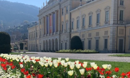 Puliamo con i fiori 2022: l'ultima giornata giornata ecologica a Como