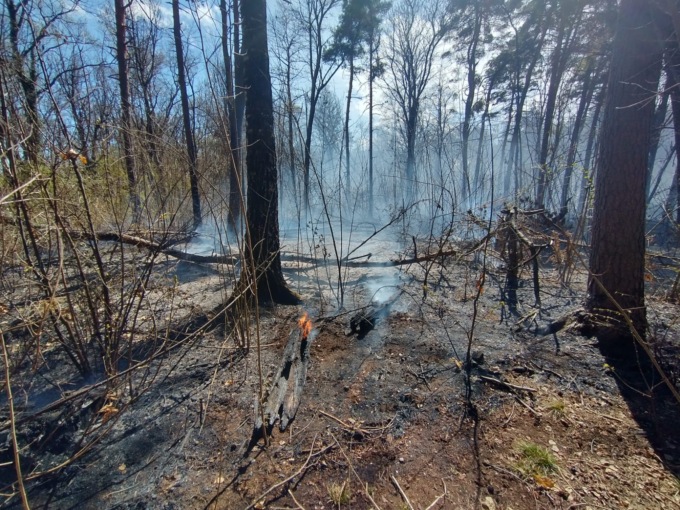 Cade un filo dell’alta tensione e innesca un incendio boschivo
