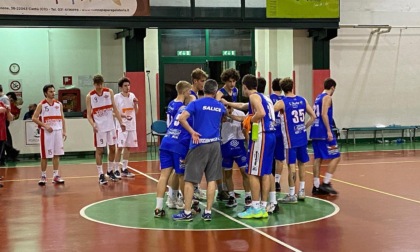 Basket Promozione ieri i Cucciago Bulls hanno alzato bandiera bianca nei quarti di finale a Ornago