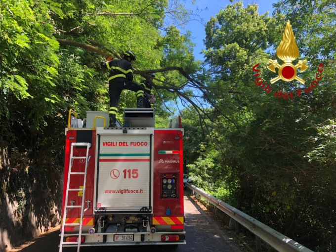 Pianta pericolante in via per Civiglio: intervengono i Vigili del Fuoco
