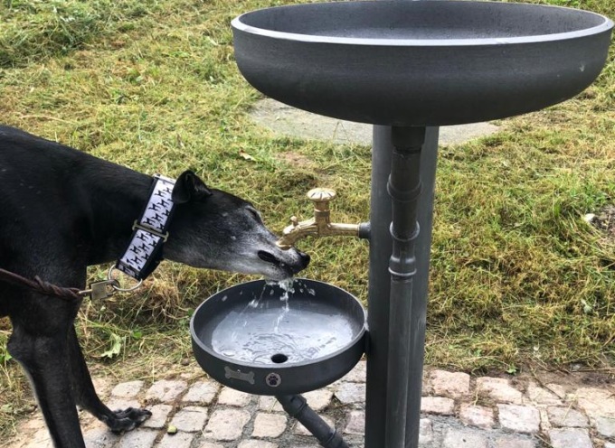 Al Segrino arriva la fontana ad altezza cane