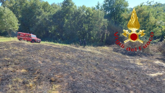 Bruciano due ettari di bosco a Colverde