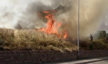 Spaventoso incendio a Guanzate: bruciati quattro ettari di campi FOTO e VIDEO