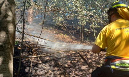 Incendio boschivo a Brenna: complice la siccità