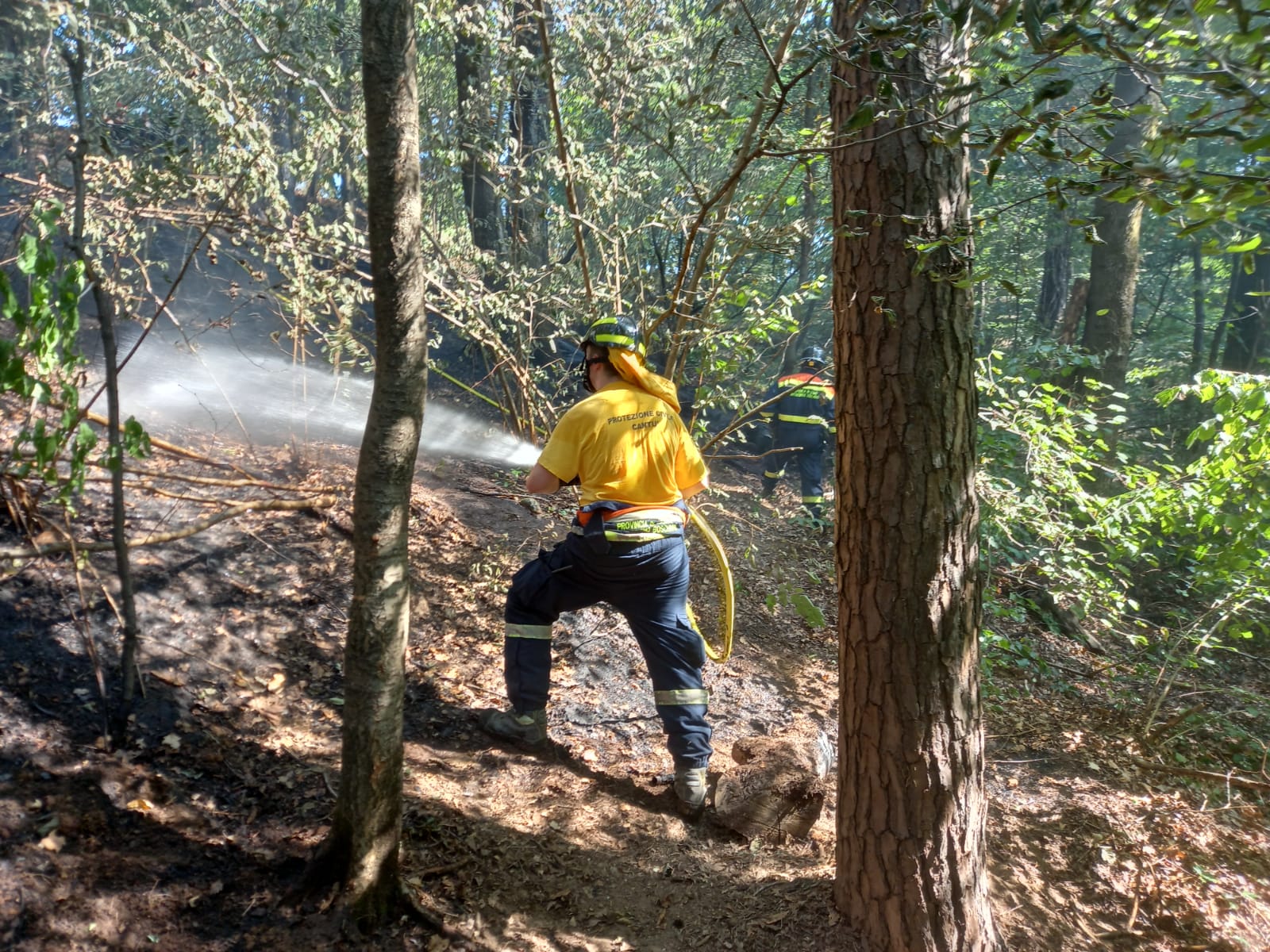 Incendio boschivo a Brenna