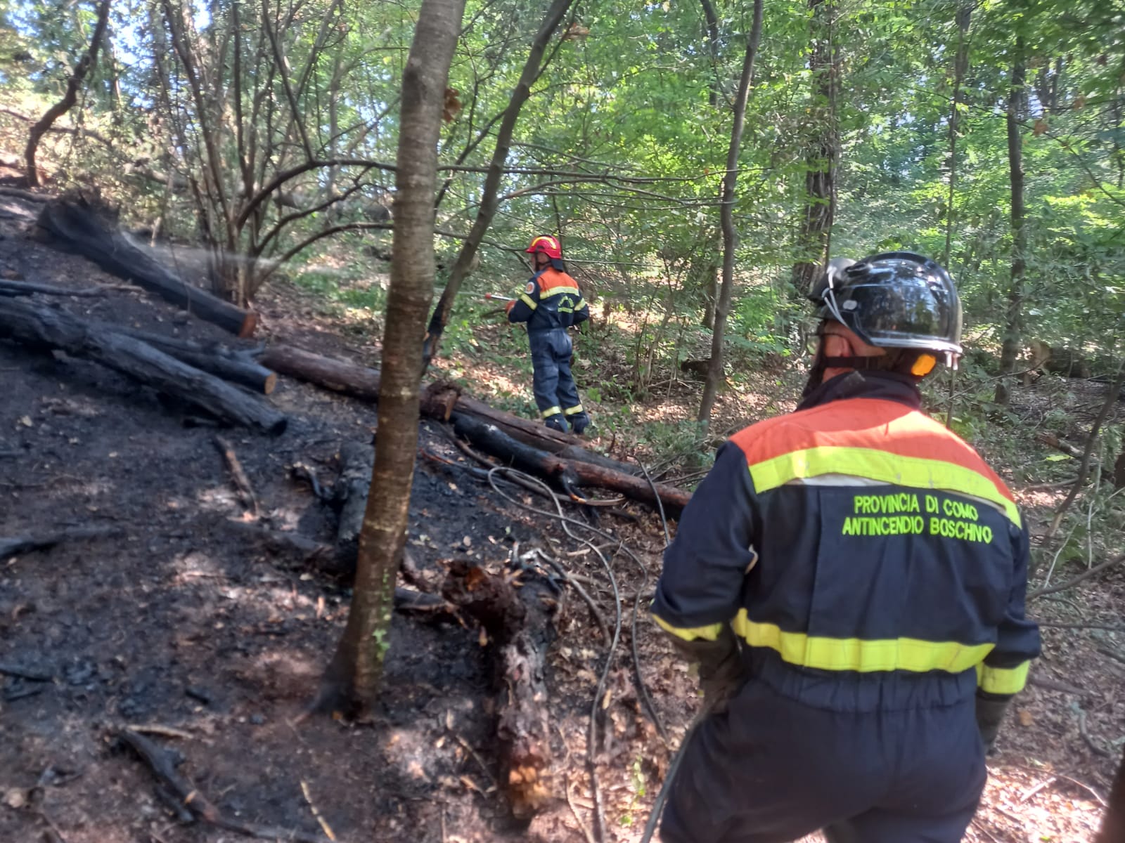 Incendio boschivo a Brenna