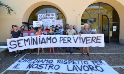 Coltivatori e sindaco in piazza contro gli animalisti fantasma