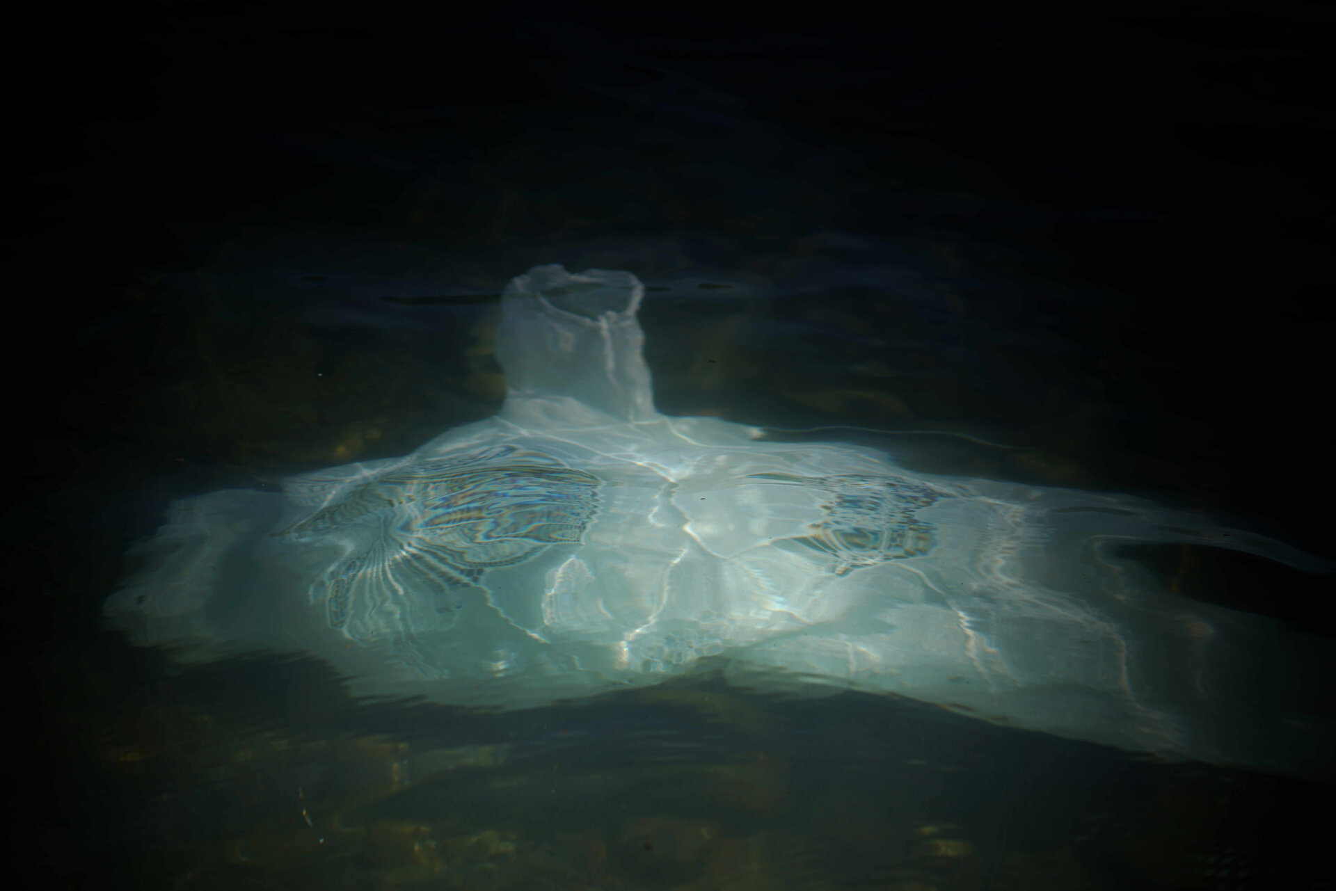 Mostra fotografica "Ophelia, annegamento di un ghiacciaio"