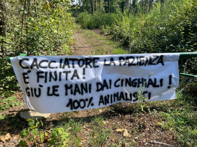 L’accusa degli animalisti: “Al Parco Pineta uccisi cinghiali, caprioli e volpi”